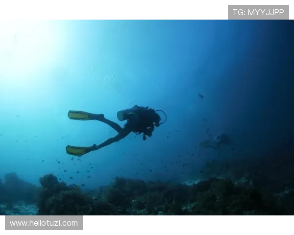 跳水运动的魅力与挑战:探索技术、心理与竞技精神的完美融合 跳水运动的魅力与挑战:探索技术、心理与竞技精神的完美融合