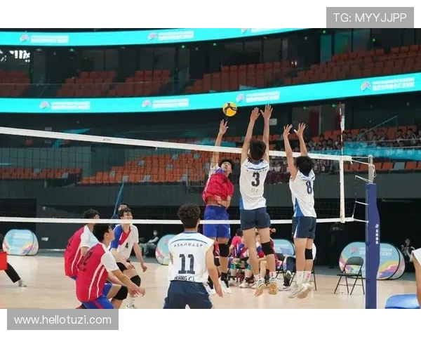 南京排球队的拼搏之路：挑战赛背后的奋斗与荣耀