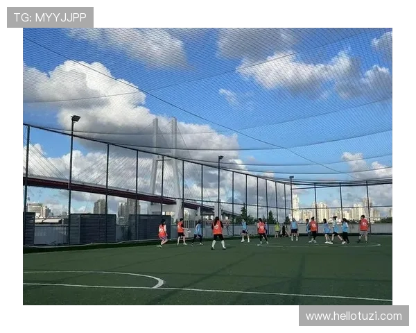 飞盘纪实：深圳飞盘队的蜕变与成长之路全景记录