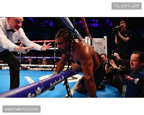 托尼贝柳与海耶的巅峰对决谁能笑到最后揭开拳坛新篇章