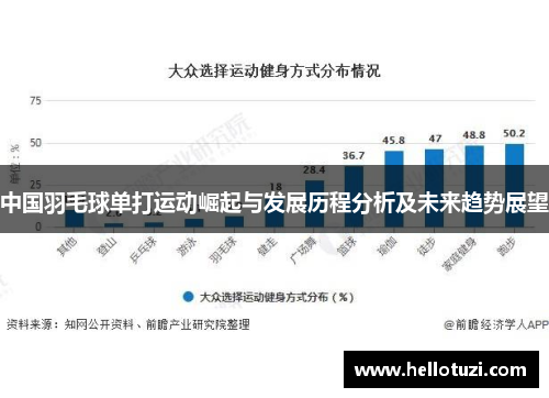 中国羽毛球单打运动崛起与发展历程分析及未来趋势展望