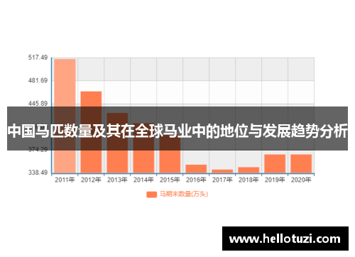中国马匹数量及其在全球马业中的地位与发展趋势分析