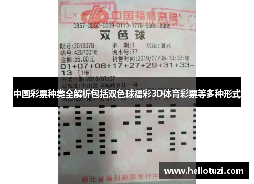 中国彩票种类全解析包括双色球福彩3D体育彩票等多种形式