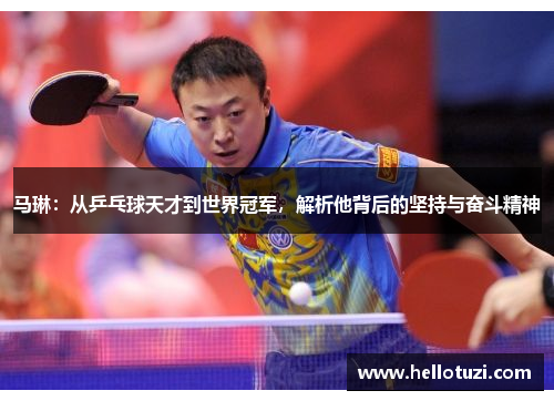 马琳：从乒乓球天才到世界冠军，解析他背后的坚持与奋斗精神